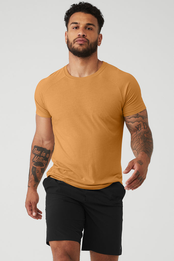 The Triumph Crew Neck Tee Toffee Alo Yoga