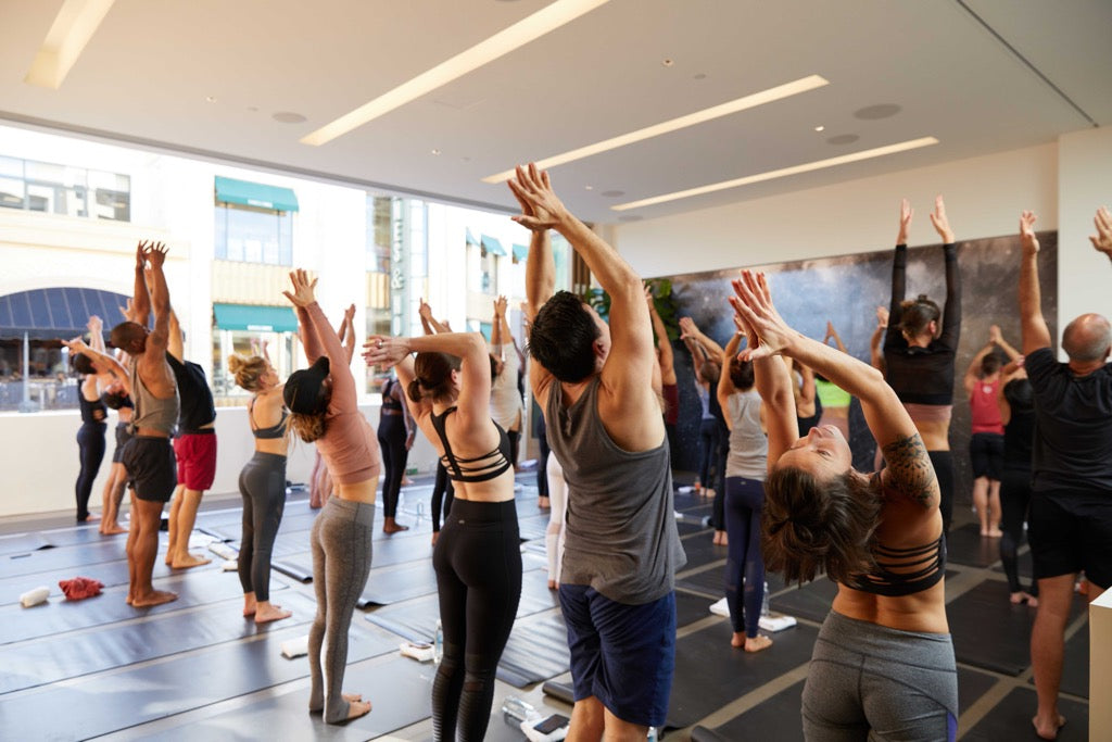 Hey, L.A. & NY: We're Building ALO Sanctuaries!