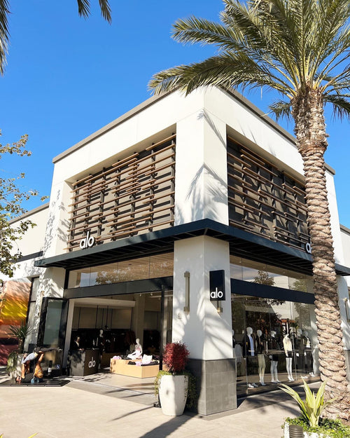 A photo of the Alo Yoga storefront in Manhattan Beach with a large palm tree growing out front. 