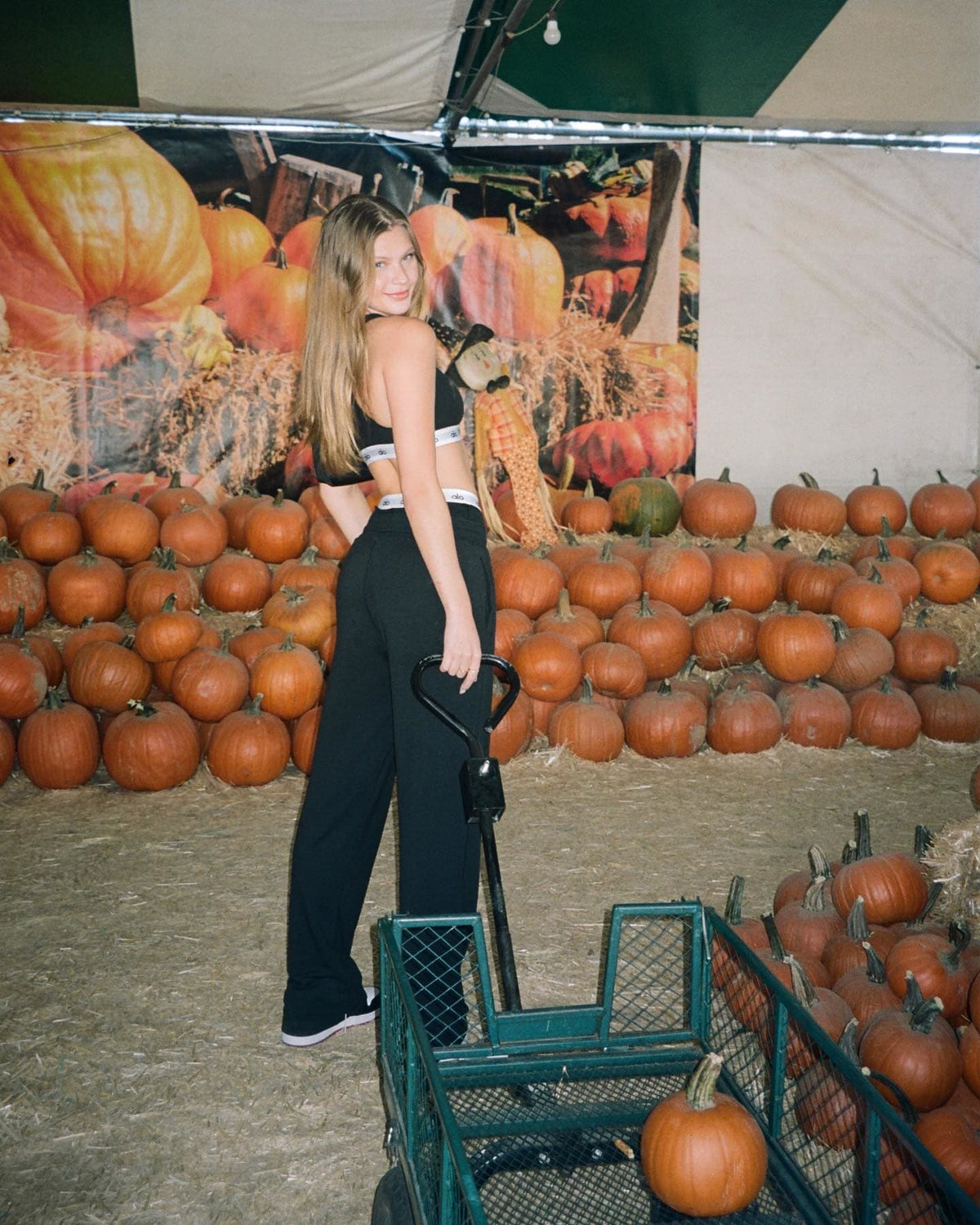 @joseicanseco wearing a pair of black trousers with Alo logo elastic banded briefs peeking above the top and a matching Alo logo elastic banded cami bra while standing in front of a large collection of orange pumpkins at a pumpkin patch. 